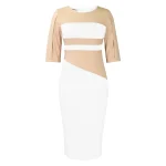 2024 New Europe Africa Women Dresses Half Sleeve O-neck Lady Office Elegant Fashion Patchwork Pencil Midi Long Dress - Image 10
