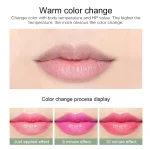 12pc/SET 3.5g Color Changing Tinted Lip Balm Lipstick Aloe Vera Lipstick Moisturizing Long Lasting Lipsticks lip balm wholesale - Image 6