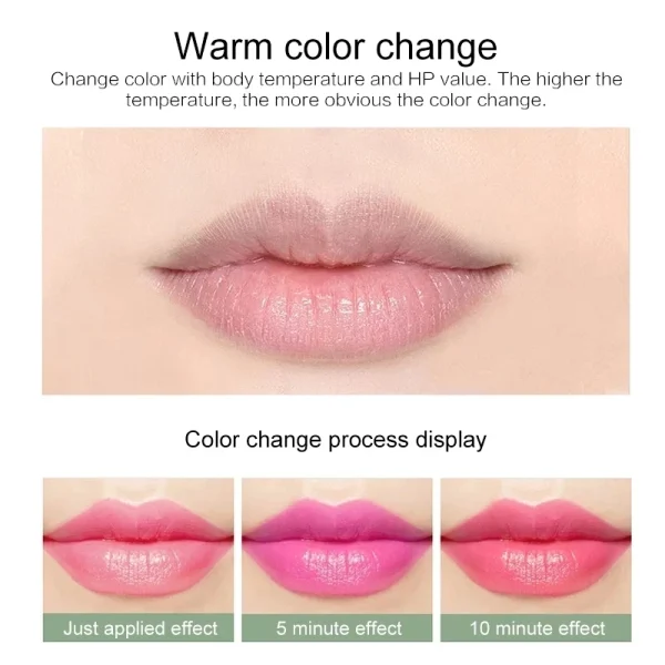 12pc/SET 3.5g Color Changing Tinted Lip Balm Lipstick Aloe Vera Lipstick Moisturizing Long Lasting Lipsticks lip balm wholesale - Image 6