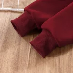 Boys Sweatshirt and Joggers - Image 6