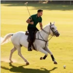 Aiopeson Classic Shirt - Image 4